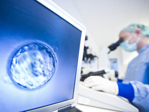 000000000000000IVF-rex.jpg 000000000000000IVF-rex.jpg